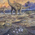 خرید و دانلود نسخه کامل کتاب The Sauropods: Evolution and Paleobiology