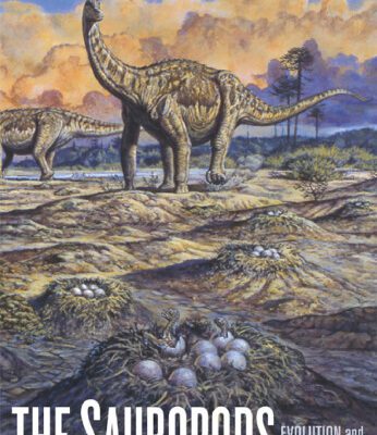 خرید و دانلود نسخه کامل کتاب The Sauropods: Evolution and Paleobiology