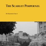 خرید و دانلود نسخه کامل کتاب The Scarlet Pimpernel