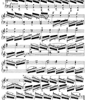 خرید و دانلود نسخه کامل کتاب The school of scales, chords and embellishments; twenty-eight studies arranged for the piano