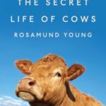 خرید و دانلود نسخه کامل کتاب The Secret Life of Cows