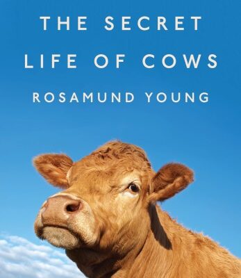 خرید و دانلود نسخه کامل کتاب The Secret Life of Cows