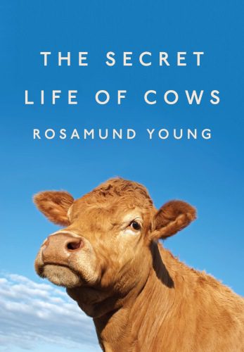 خرید و دانلود نسخه کامل کتاب The Secret Life of Cows_68e7b60941df6.jpeg خرید و دانلود نسخه کامل کتاب The Secret Life of Cows