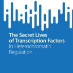 خرید و دانلود نسخه کامل کتاب The Secret Lives of Transcription Factors: In Heterochromatin Regulation