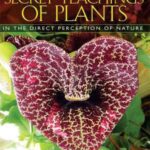 خرید و دانلود نسخه کامل کتاب The Secret Teachings of Plants – The Intelligence of the Heart in the Direct Perception of Nature