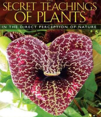 خرید و دانلود نسخه کامل کتاب The Secret Teachings of Plants – The Intelligence of the Heart in the Direct Perception of Nature