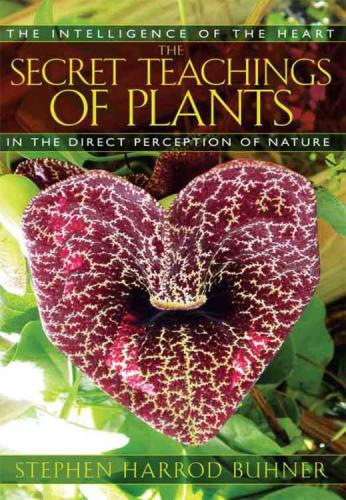 خرید و دانلود نسخه کامل کتاب The Secret Teachings of Plants – The Intelligence of the Heart in the Direct Perception of Nature_68ea614724a97.jpeg خرید و دانلود نسخه کامل کتاب The Secret Teachings of Plants – The Intelligence of the Heart in the Direct Perception of Nature