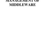 خرید و دانلود نسخه کامل کتاب The Semantic Management of Middleware