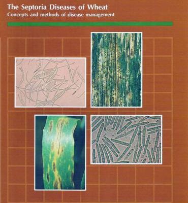 خرید و دانلود نسخه کامل کتاب The Septoria Diseases of Wheat: Concepts and methods of disease management