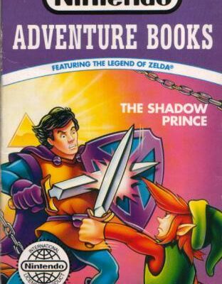 خرید و دانلود نسخه کامل کتاب The Shadow Prince