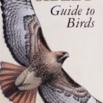 خرید و دانلود نسخه کامل کتاب The Sibley guide to birds