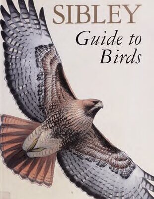 خرید و دانلود نسخه کامل کتاب The Sibley guide to birds