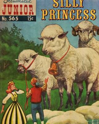 خرید و دانلود نسخه کامل کتاب The Silly Princess