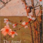 خرید و دانلود نسخه کامل کتاب The Sound and the Fury