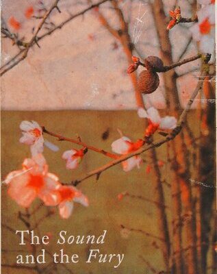 خرید و دانلود نسخه کامل کتاب The Sound and the Fury