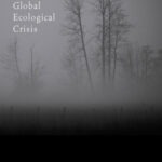 خرید و دانلود نسخه کامل کتاب The State and the Global Ecological Crisis