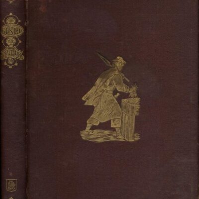 خرید و دانلود نسخه کامل کتاب The Story of Gisli the Outlaw