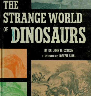 خرید و دانلود نسخه کامل کتاب The Strange World of Dinosaurs