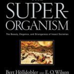 خرید و دانلود نسخه کامل کتاب The Superorganism: The Beauty, Elegance, and Strangeness of Insect Societies