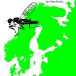 خرید و دانلود نسخه کامل کتاب The Tachydromiinae (Dipt. Empididae) of Fennoscandia and Denmark