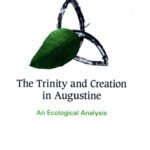 خرید و دانلود نسخه کامل کتاب The Trinity and Creation in Augustine: An Ecological Analysis