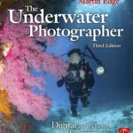 خرید و دانلود نسخه کامل کتاب The Underwater Photographer, Third Edition: Digital and Traditional Techniques