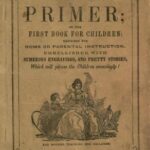 خرید و دانلود نسخه کامل کتاب The United States School Primer