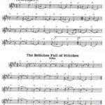 خرید و دانلود نسخه کامل کتاب The violin tunes from the videoguide on 2 DVDs “Learn to Play Irish Fiddle” by Kevin Burke – part I