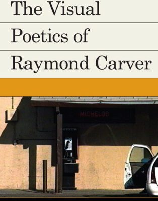 خرید و دانلود نسخه کامل کتاب The Visual Poetics of Raymond Carver