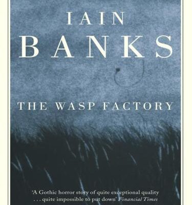 خرید و دانلود نسخه کامل کتاب The Wasp Factory