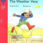 خرید و دانلود نسخه کامل کتاب The Weather Vane