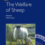 خرید و دانلود نسخه کامل کتاب The Welfare of Sheep (Animal Welfare)