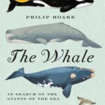 خرید و دانلود نسخه کامل کتاب The Whale: In Search of the Giants of the Sea