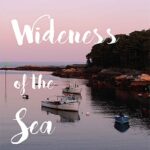 خرید و دانلود نسخه کامل کتاب The Wideness of the Sea