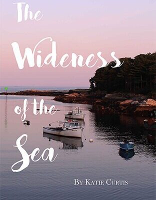 خرید و دانلود نسخه کامل کتاب The Wideness of the Sea