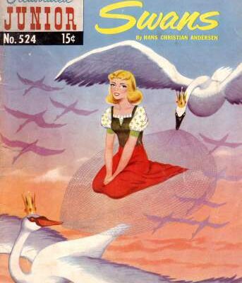 خرید و دانلود نسخه کامل کتاب The Wild Swans