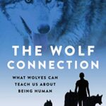 خرید و دانلود نسخه کامل کتاب The Wolf Connection: What Wolves Can Teach Us about Being Human