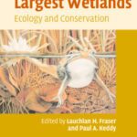 خرید و دانلود نسخه کامل کتاب The World’s Largest Wetlands: Ecology and Conservation