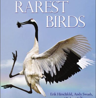 خرید و دانلود نسخه کامل کتاب The World’s Rarest Birds