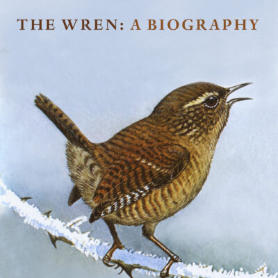 خرید و دانلود نسخه کامل کتاب The Wren: A Biography