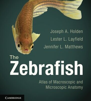 خرید و دانلود نسخه کامل کتاب The Zebrafish: Atlas of Macroscopic and Microscopic Anatomy