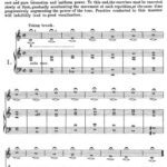خرید و دانلود نسخه کامل کتاب Thirty Daily Exercises for High Voice. Oр.11