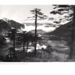خرید و دانلود نسخه کامل کتاب Tibet the Sacred Realm: Photographs 1880-1950