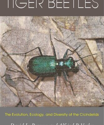 خرید و دانلود نسخه کامل کتاب Tiger beetles. The evolution, ecology, and diversity of the Cicindelids