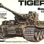 خرید و دانلود نسخه کامل کتاب Tiger I (1)