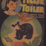 خرید و دانلود نسخه کامل کتاب Tillie the Toiler