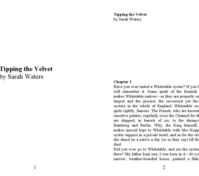 خرید و دانلود نسخه کامل کتاب Tipping the Velvet: A Novel
