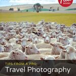 خرید و دانلود نسخه کامل کتاب Tips from a Pro: Travel Photography