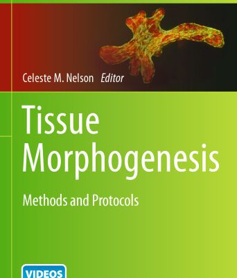 خرید و دانلود نسخه کامل کتاب Tissue Morphogenesis: Methods and Protocols