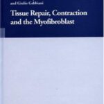 خرید و دانلود نسخه کامل کتاب Tissue Repair, Contraction and the Myofibroblast (Biotechnology Intelligence Unit)